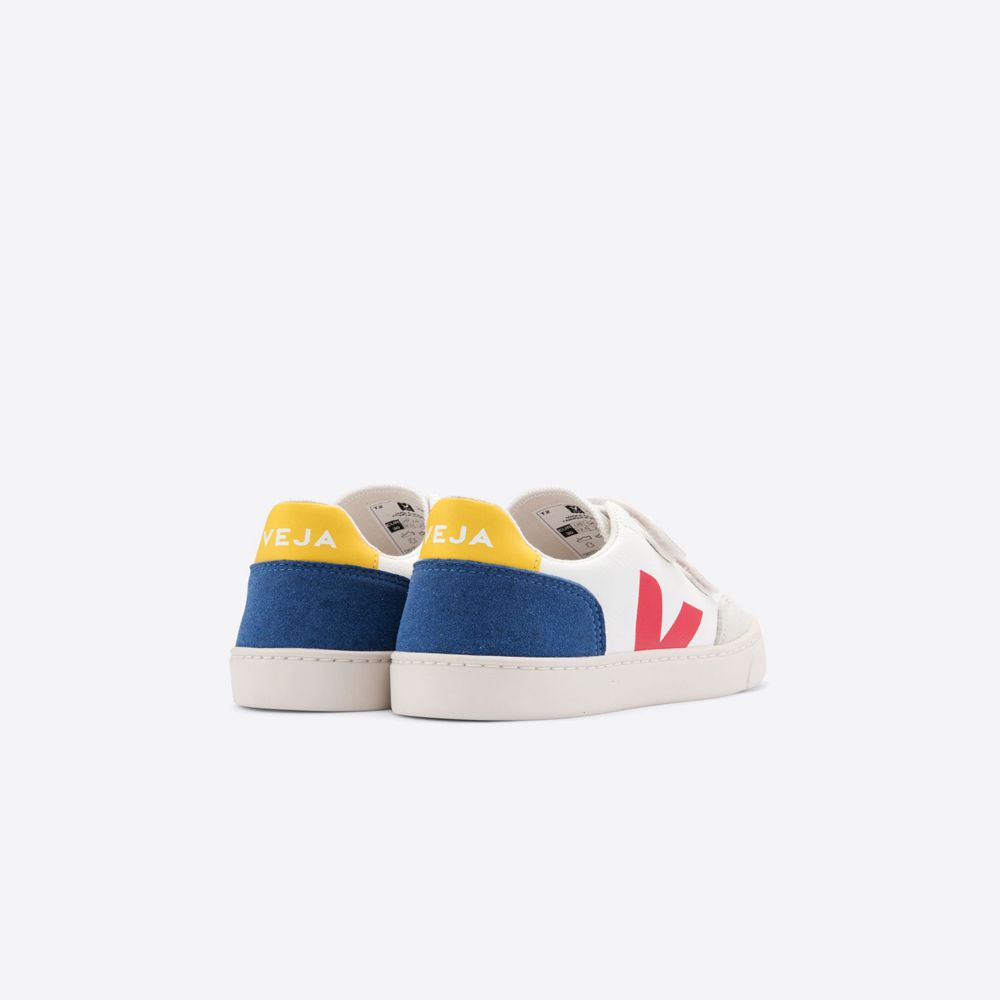 veja blue red