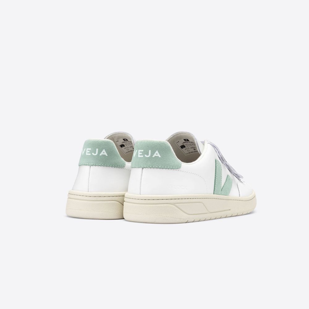 veja turquoise